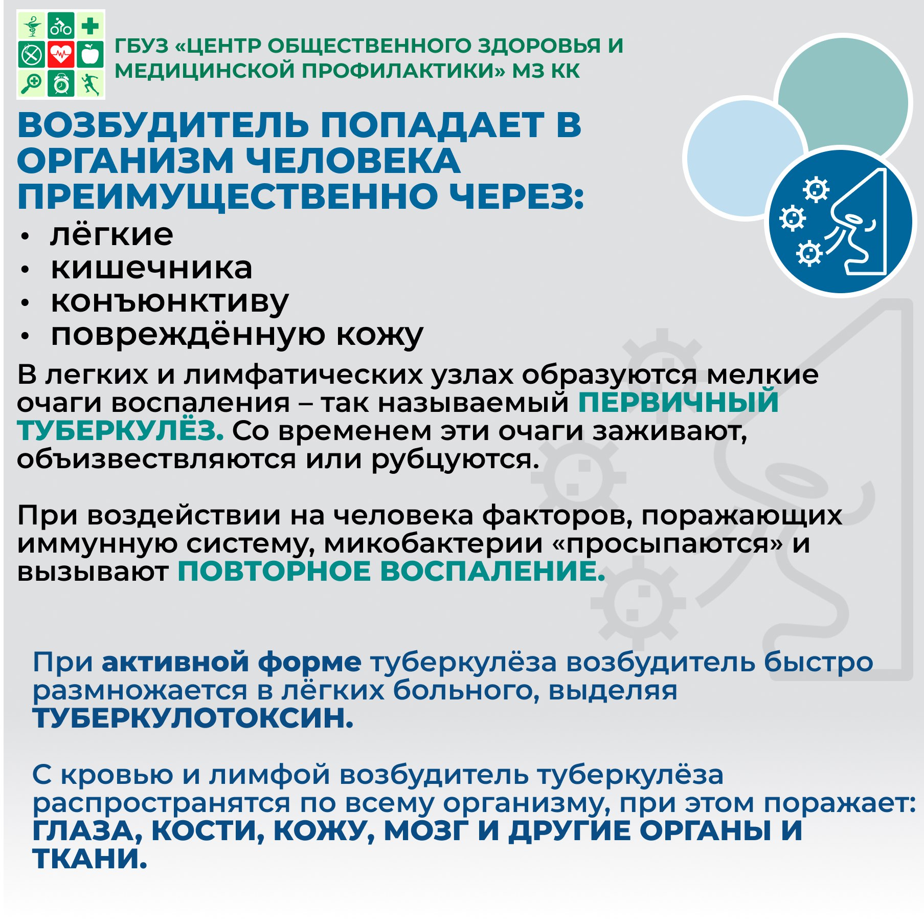 Профилактика заболеваний